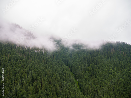 fog in the mountains