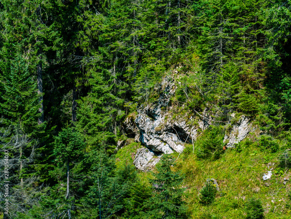 skull rock in mountains skull rock in mountains