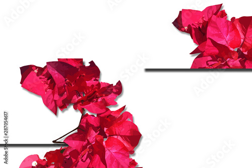 illustration design using red and pink flower elements, with a plain abstract background, simple and modern