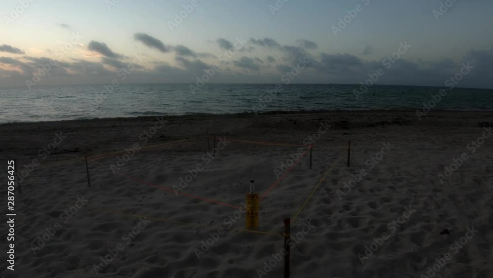 4K Tilt up view of Atlantic fine sand shore with compound turtle nest, Miami Beach 4K Tilt up view of Atlantic fine sand shore with compound turtle nest, Miami Beach