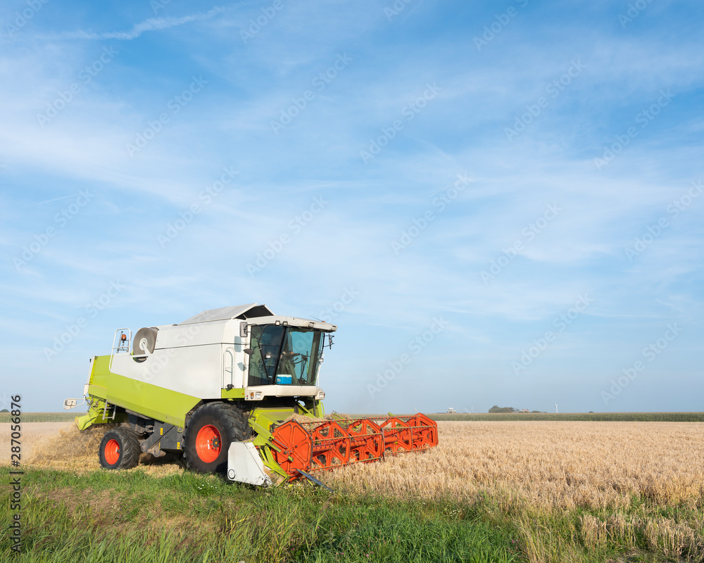 Obraz premium machine on field during barley harvest in friesland under blue summer sky