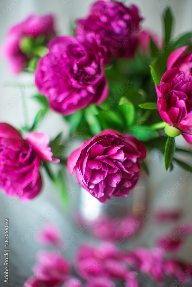 Bouquet of dark pink peonies flowers in a vase Bouquet of dark pink peonies flowers in a vase