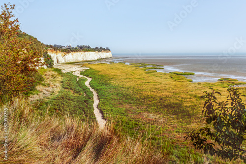 Vászonkép View across the nature reserve of Pegwell Bay, an inlet in the English Channel between Ramsgate and Sandwich, to white cliffs and the town of Pegwell