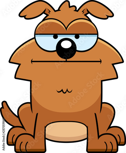 Calm Little Dog