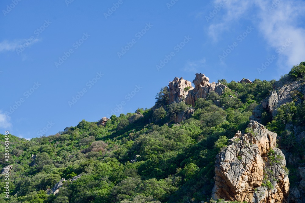 Naklejka premium Rough rocks between green trees
