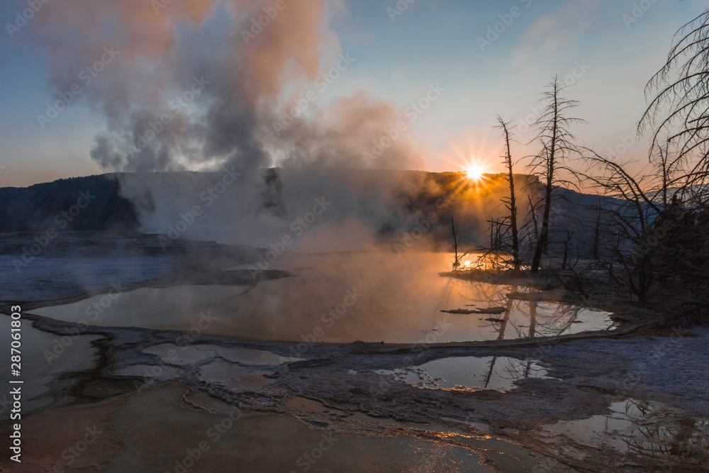 sunset with dead trees in thermal area at yellowstone sunset with dead trees in thermal area at yellowstone