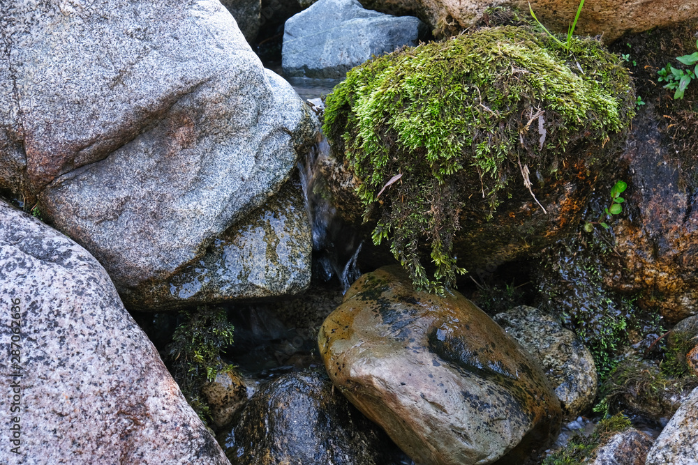 stones in water stones in water