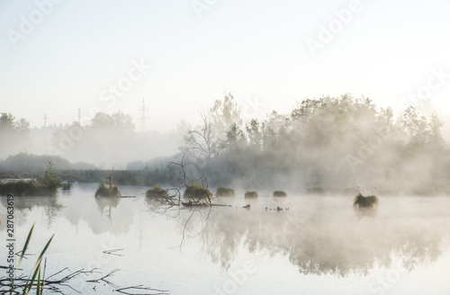 Landschaft an einem Moos See mit Nebel im Morgengrauen im Frühherbst