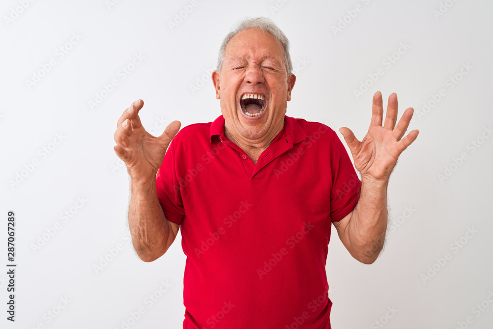 Senior grey-haired man wearing red polo standing over isolated white background celebrating mad and crazy for success with arms raised and closed eyes screaming excited. Winner concept Senior grey-haired man wearing red polo standing over isolated white background celebrating mad and crazy for success with arms raised and closed eyes screaming excited. Winner concept