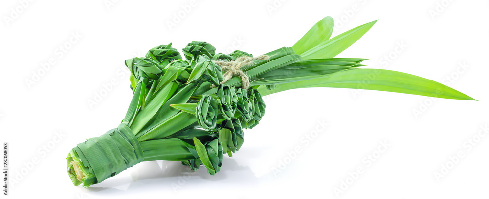 Fototapeta premium Flower make from pandan leaves ( Pandanus amaryllifolius come ) isolated on white background, Pandanus folded into roses, Clipping path