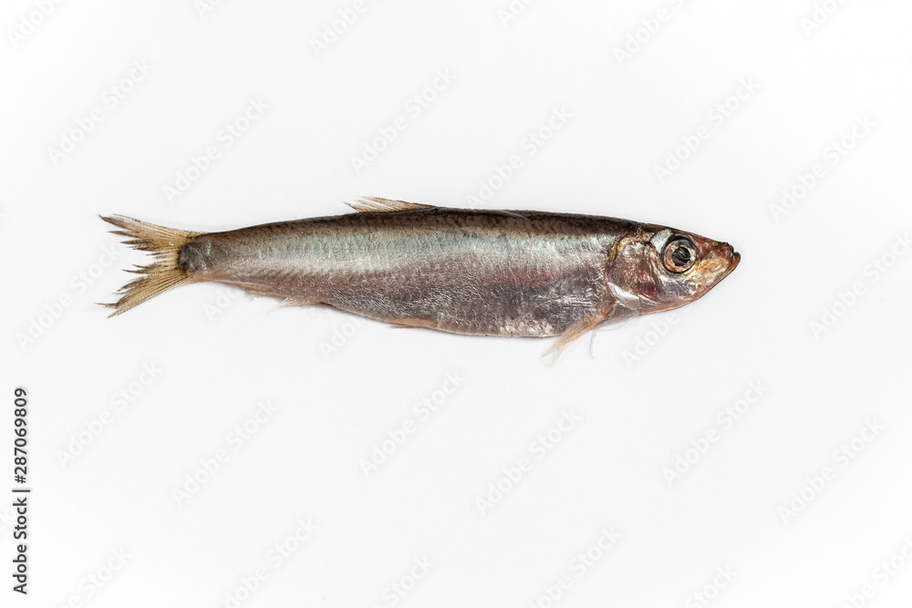 sprat, close-up on a white background, small shiny fish of the northern seas, popular food of Scandinavia and Russia sprat, close-up on a white background, small shiny fish of the northern seas, popular food of Scandinavia and Russia
