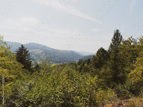 In Schönau im Schwarzwald mit tollen Aussichten in ruhiger Natur, wunderschöne Naturlandschaft und blau Himmel, entlang des idyllischen Philosophenweg und Letzbergweiher