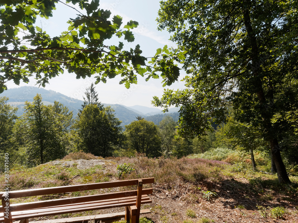 In Schönau im Schwarzwald mit tollen Aussichten in ruhiger Natur, wunderschöne Naturlandschaft und blau Himmel, entlang des idyllischen Philosophenweg und Letzbergweiher In Schönau im Schwarzwald mit tollen Aussichten in ruhiger Natur, wunderschöne Naturlandschaft und blau Himmel, entlang des idyllischen Philosophenweg und Letzbergweiher