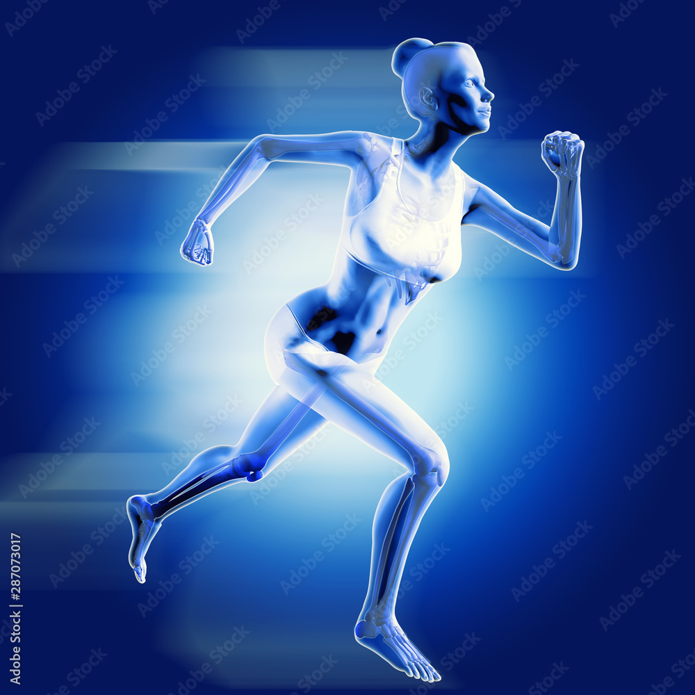 3d medical image with skeleton 3d medical image with skeleton