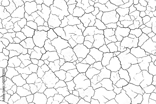 The cracks texture white and black. Vector background.Cracked earth. Structure of cracking. Cracks in dry surface soil texture. shards