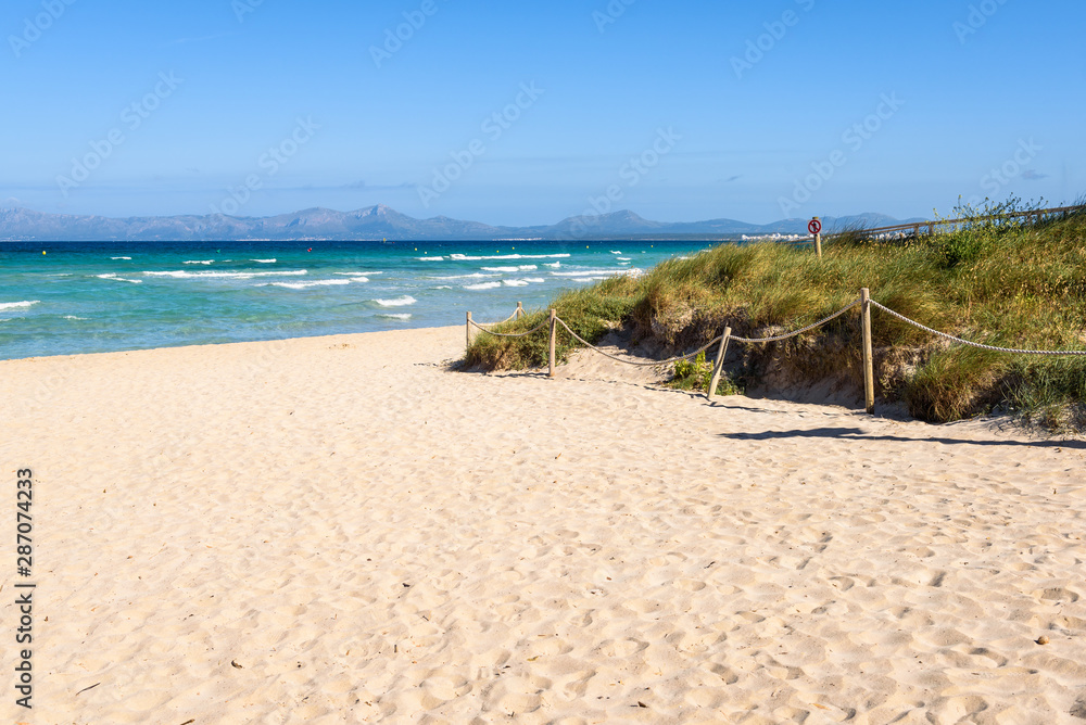 Fototapeta premium Playa de Muro beach located next to the most popular Alcudia beach in Mallorca