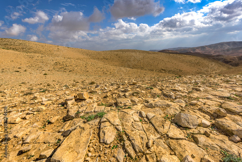 Landscape in Judean desert, Israel