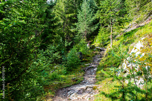 path through the alpine forests of Solden