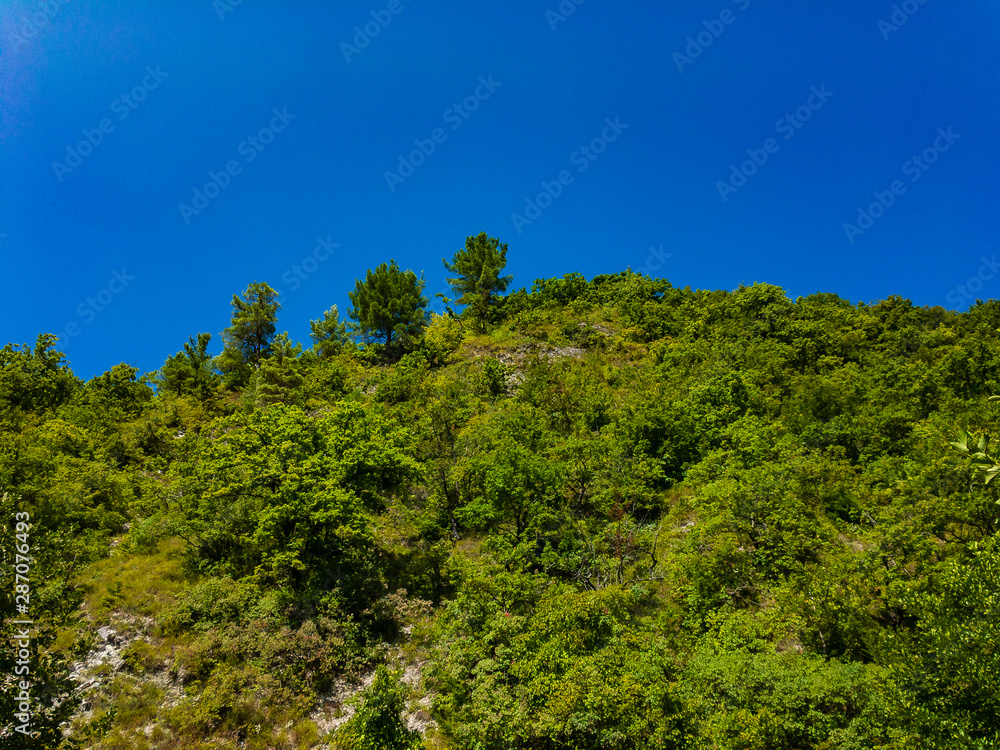 The top of the mountain, covered with green wooded vegetation against a bright blue cloudless sky in summer on a sunny day.