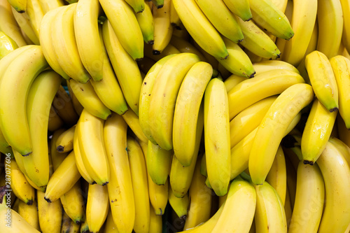 Whole bundle of ready-to-eat bananas for food background