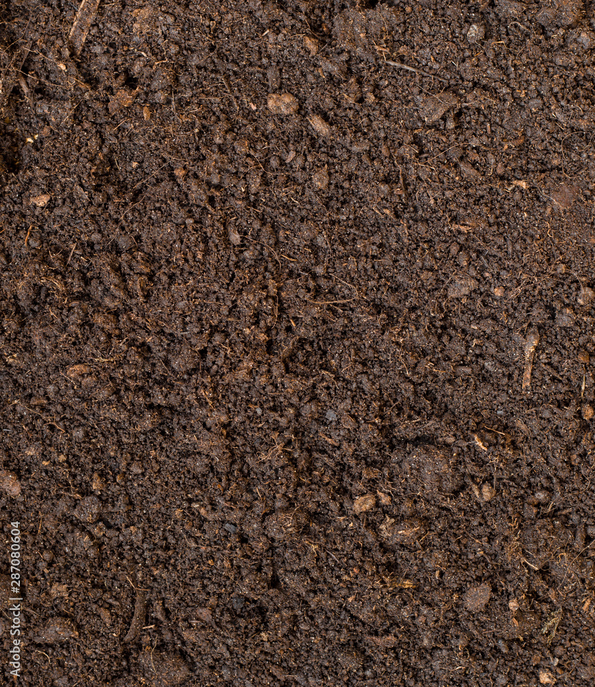 Soil as a background. Agriculture, gardening or ecology concept Soil as a background. Agriculture, gardening or ecology concept