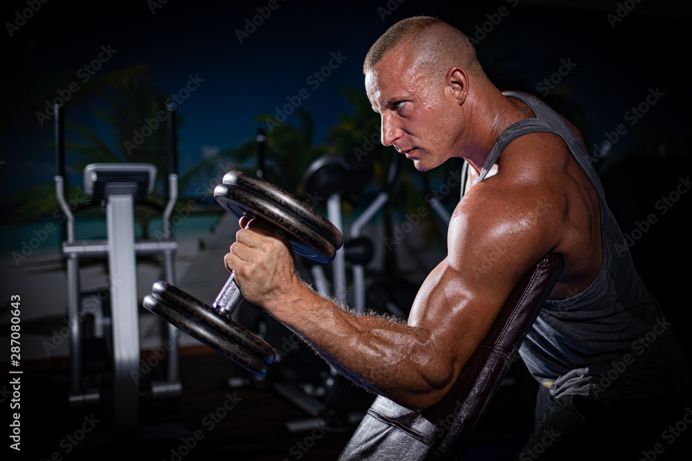 a well-trained strength athlete performs sports exercises in a fitness studio a well-trained strength athlete performs sports exercises in a fitness studio
