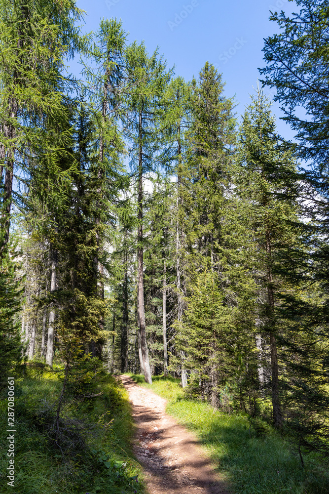 Obraz premium Dolomites - Cortina D'Ampezzo - Italy