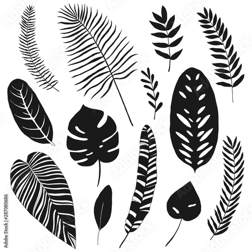 tropical leaf silhouettes, vector design