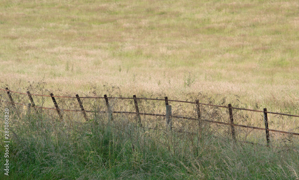 field and fence