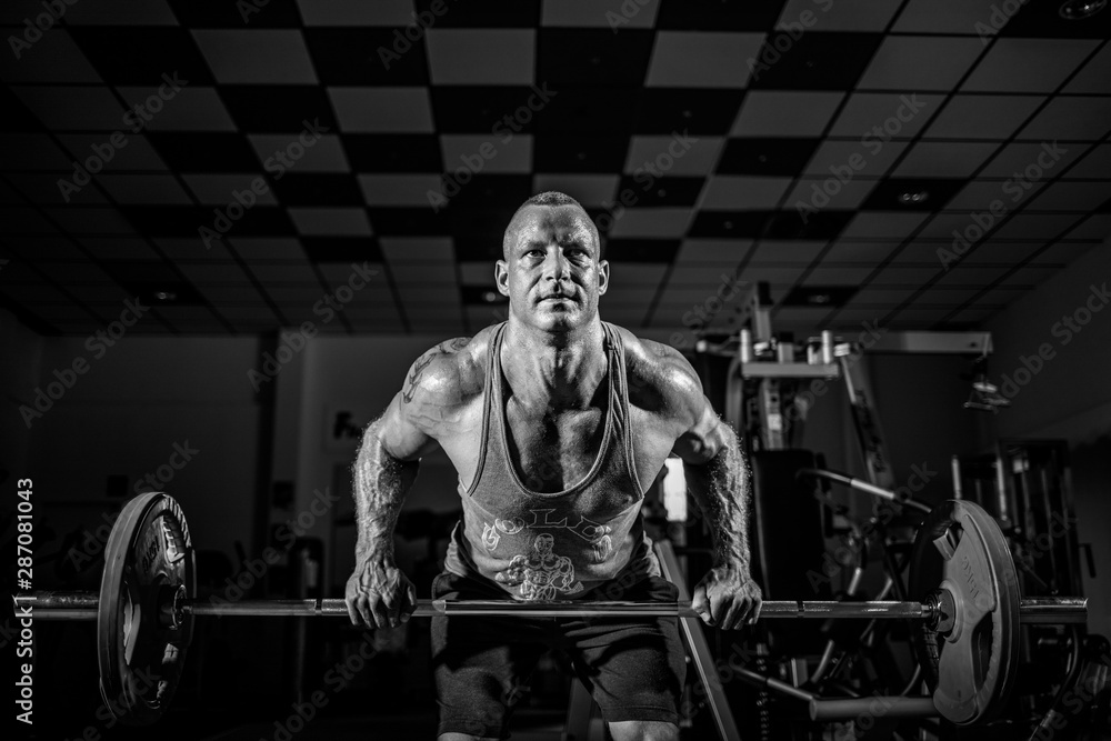 a well-trained strength athlete performs sports exercises in a fitness studio a well-trained strength athlete performs sports exercises in a fitness studio