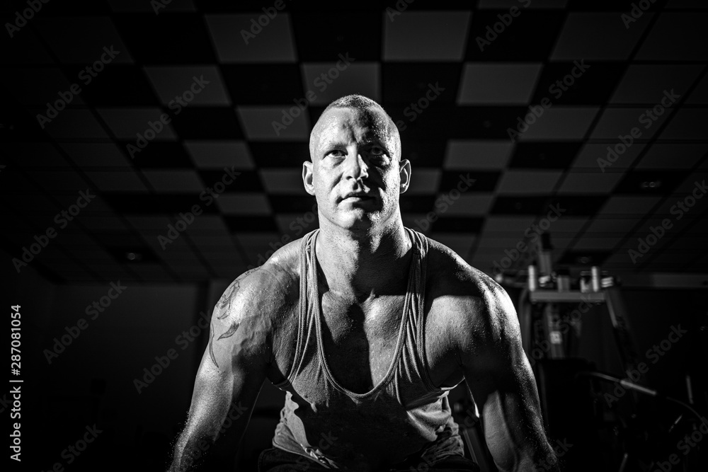 a well-trained strength athlete performs sports exercises in a fitness studio a well-trained strength athlete performs sports exercises in a fitness studio