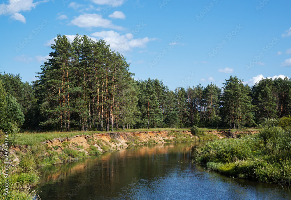 Small river flows in a pine forest - tranquil summer landscape in Tver region of Russia. Nice sunny day in August Small river flows in a pine forest - tranquil summer landscape in Tver region of Russia. Nice sunny day in August