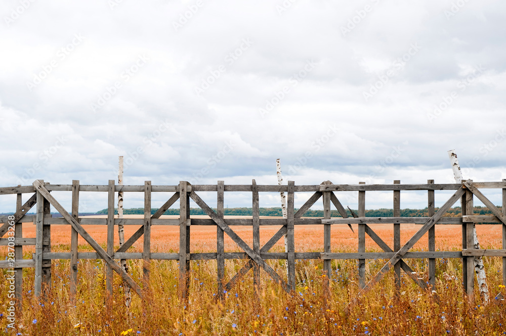 look at the field through an old wooden fence in autumn time
