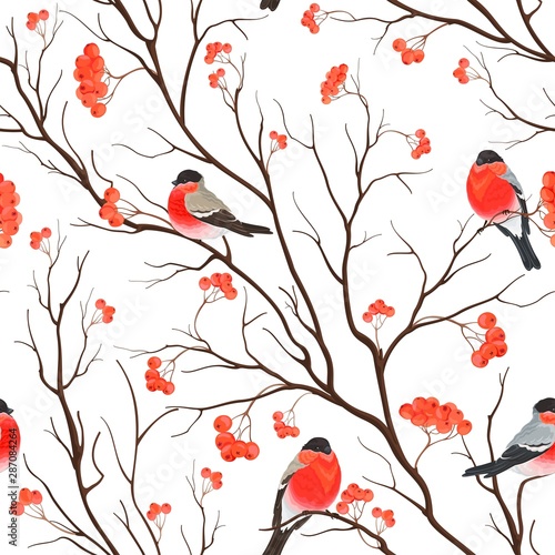 Fotografia Seamless background with bullfinches sitting on branch of rowan, vector illustration