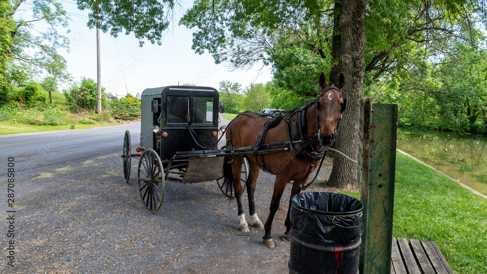Horse and Buggy Waiting for it's Owner Horse and Buggy Waiting for it's Owner