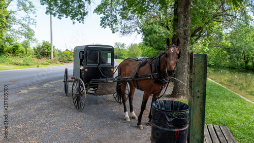 Horse and Buggy Waiting for it's Owner © Greg Kelton