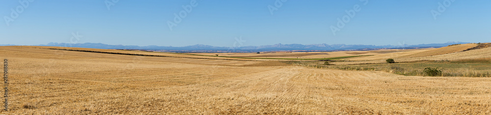 Large panorama of cereal agricultural fields already collected in summer and mountains horizon in the background 