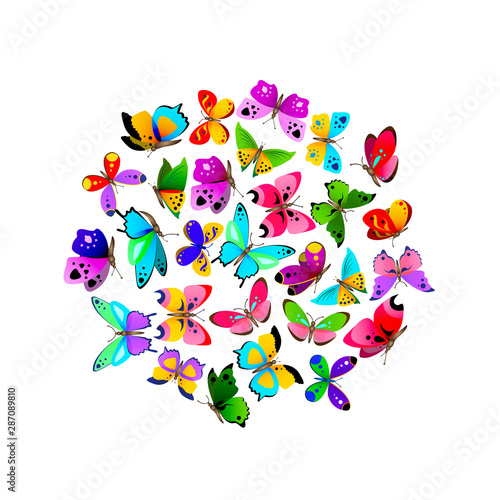 Beautiful colorful butterflies