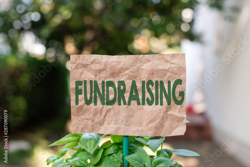 Word writing text Fundraising. Business photo showcasing act of collecting or producing money for a particular purpose Plain empty paper attached to a stick and placed in the green leafy plants photo