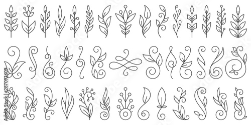 Floral Branch ornamebt simple line icon vector set