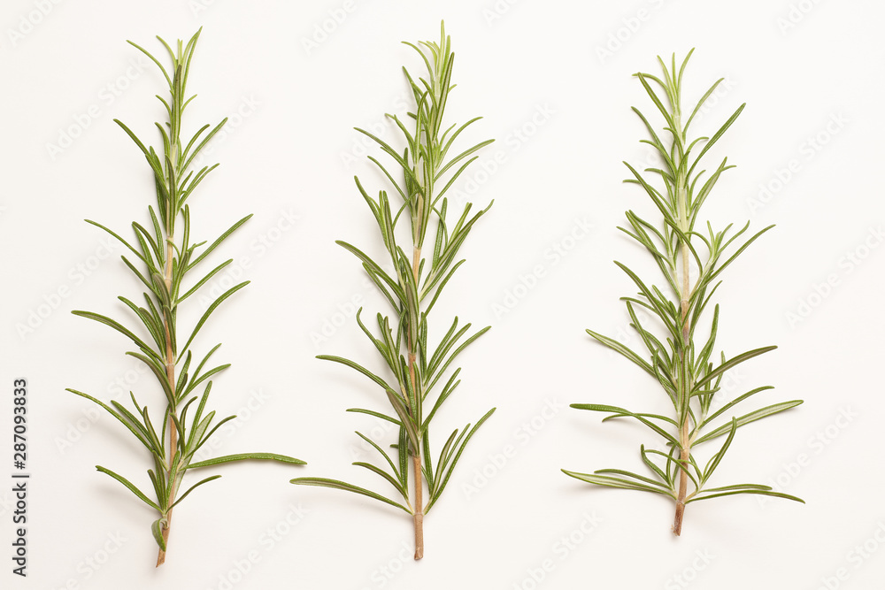 Fototapeta premium Rosemary on white background macro