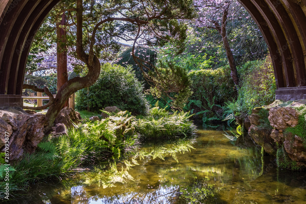 Smooth water reflects ferns and a bent tree under the arch of a bridge in a Japanese garden Smooth water reflects ferns and a bent tree under the arch of a bridge in a Japanese garden