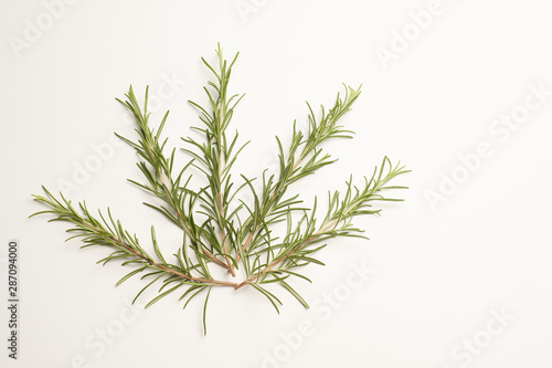 Rosemary on white background macro