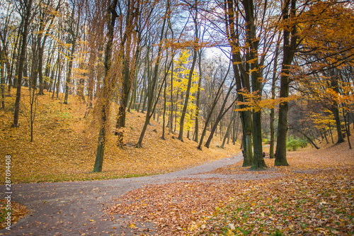 golden autumn, perfect period of time, golden fall, autumn in the park, countryside