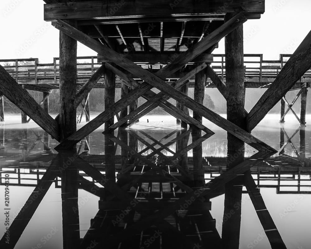 Fototapeta premium Under the fishing dock