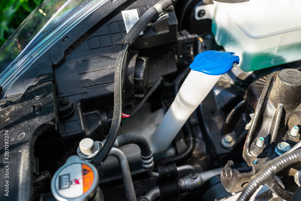 Windshield washer fluid reservoir with blue stopper, located in the engine compartment.