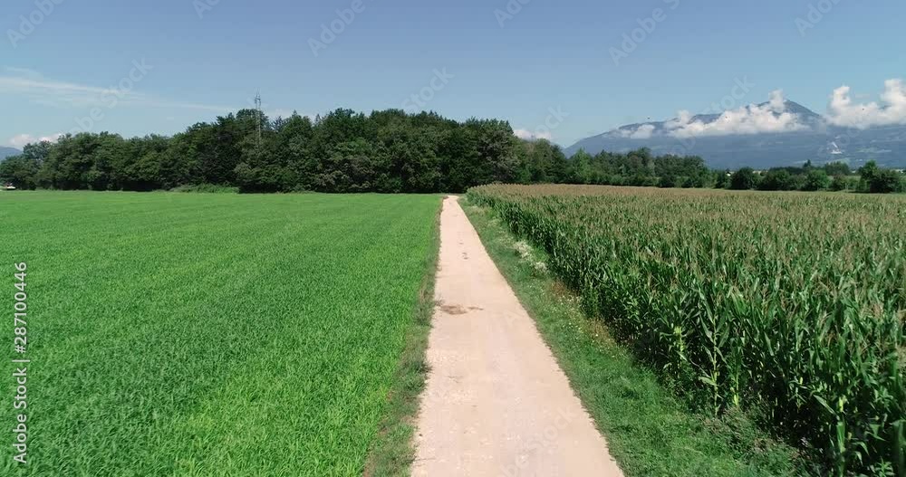 4K: Drone aerial ascending backwards moving over gravel road on sunny summer day with cornfield on the right side and mountains in the back 4K: Drone aerial ascending backwards moving over gravel road on sunny summer day with cornfield on the right side and mountains in the back
