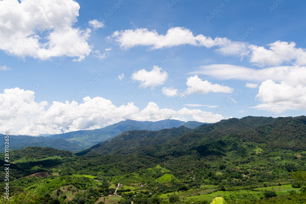 Obraz premium festival del hongo