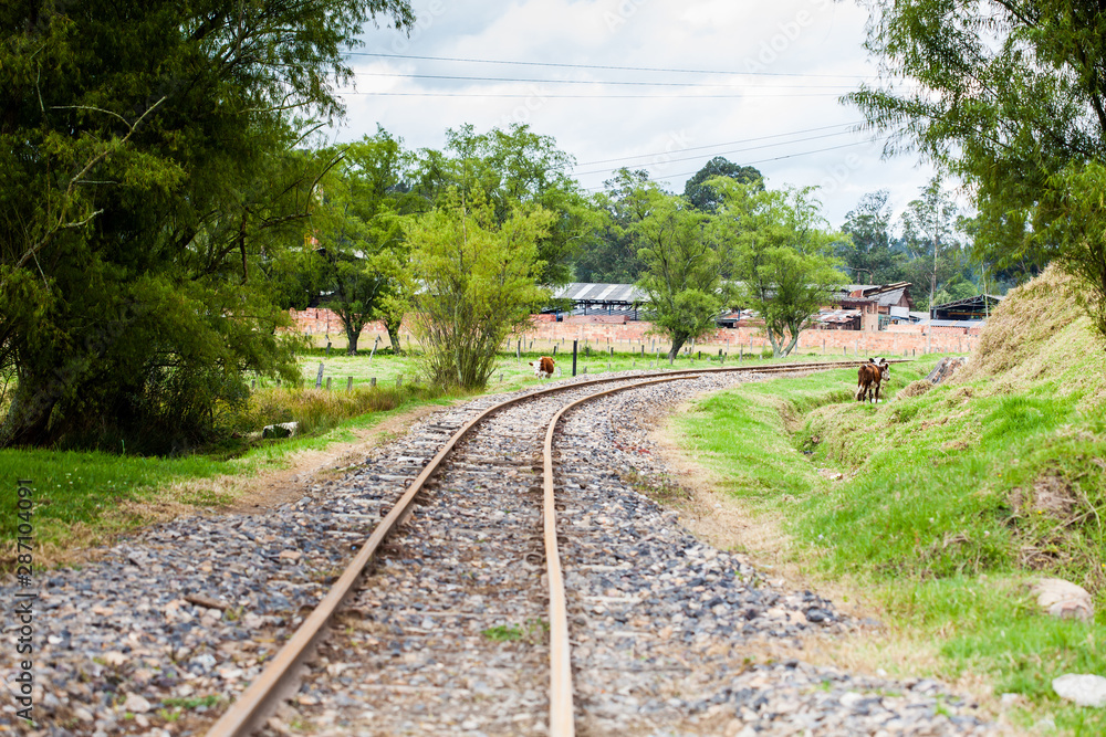 Obraz premium View of the railroad tracks in rural area of the Department of Boyaca in Colombia