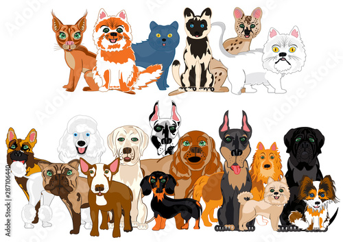 Vector illustration ensemble sorts cat and dogs